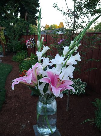 edit-IMG_20210707_204528778