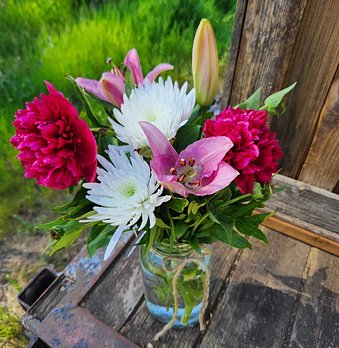 edit-20230514_092752